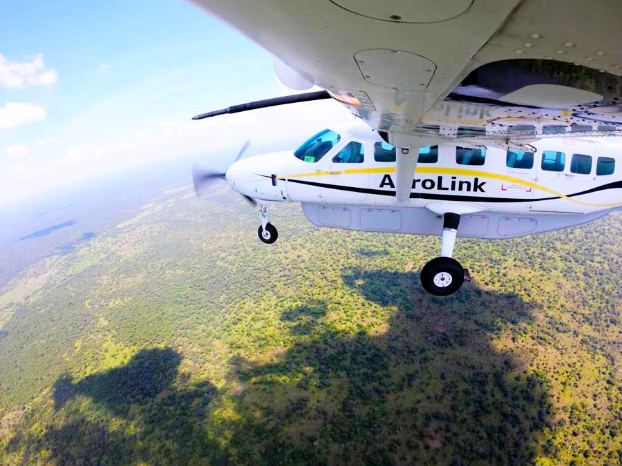 4 Days Uganda Classic Gorilla Fly  In Safari