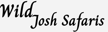 Josh wild safaris logo Josh wild safaris logo